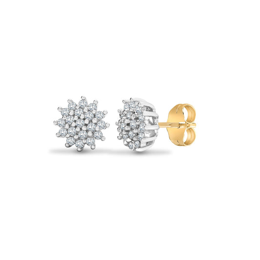 9ct White Gold 0.25ct Diamond Cluster Stud Earrings - 9E034