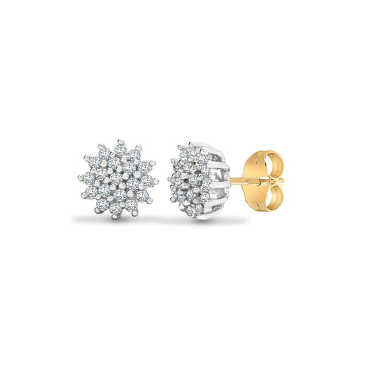 9ct White Gold 0.25ct Diamond Cluster Stud Earrings - 9E034