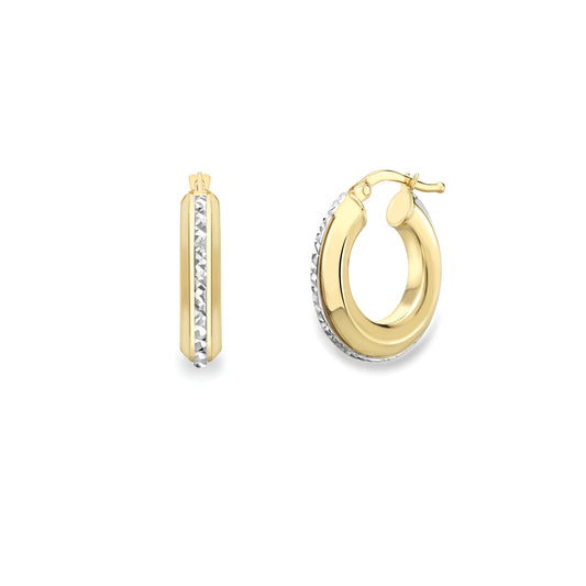 9ct Gold Two-Tone Earrings - EANR02172