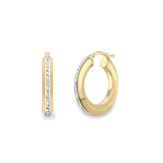 9ct Gold Two-Tone Earrings - EANR02173