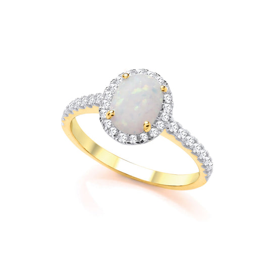 2-Colour 9ct Gold Rainbow Oval Opal CZ Halo Engagement Ring - G9R9032OP
