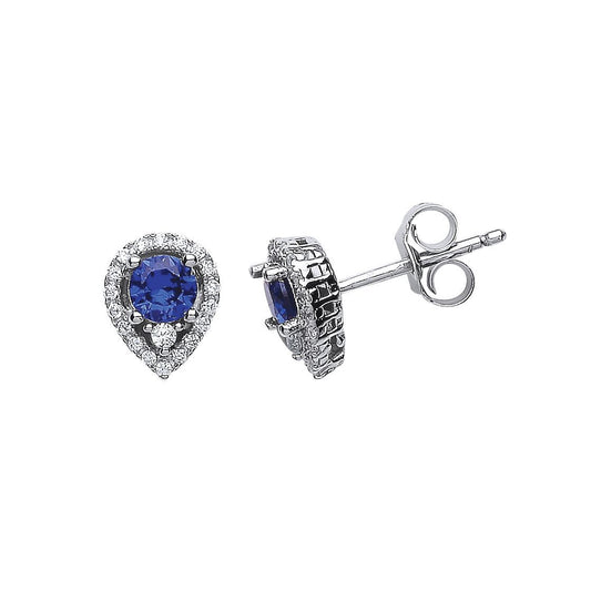Silver Blue CZ Halo Tears of Joy Drop Earrings - GVE397SAP