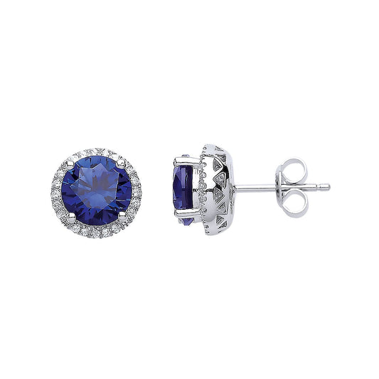 Silver Blue CZ Halo Stud Earrings - GVE617