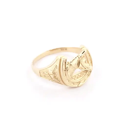 Mens Solid 9ct Gold Horse Head Horseshoe Ring - JRN039