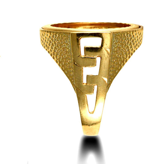 9ct Gold Curb Links Snake Skin St George Ring (Half Sov Size) - JRN180-H