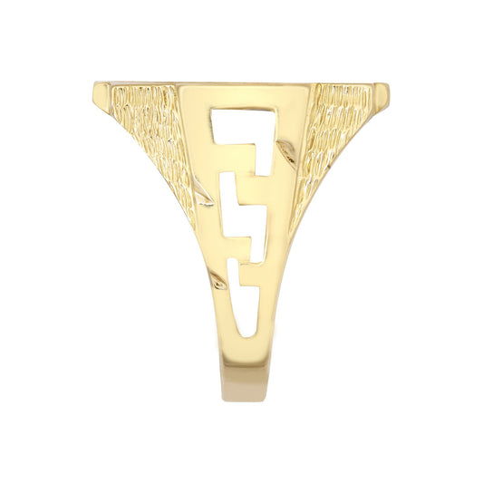 9ct Gold Curb Links Square St George Ring (Full Sov Size) - JRN182-F