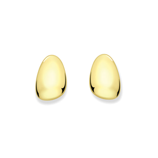 9ct Gold Highly Polished Stud Earrings - SENR02654