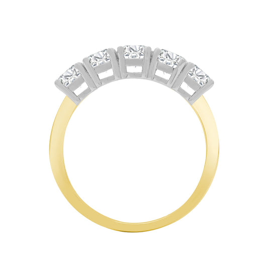18ct 2 Colour Gold  0.75ct Diamond 5 Stone Pentalogy Eternity Ring - 18R948-075