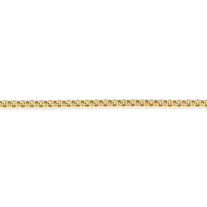9ct Gold  Round Hollow Belcher Chain Bracelet 3.8mm 7.25 inch - CNNR02016A