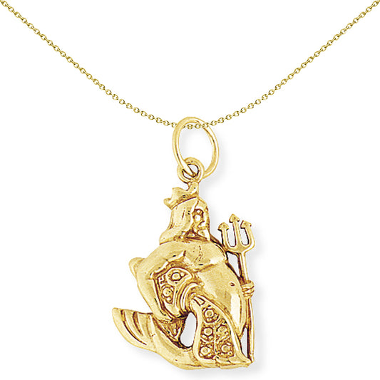 9ct Gold  Aquarius Horoscope Star Sign Astrology Pendant 17x24mm - ZDNR02AQ1