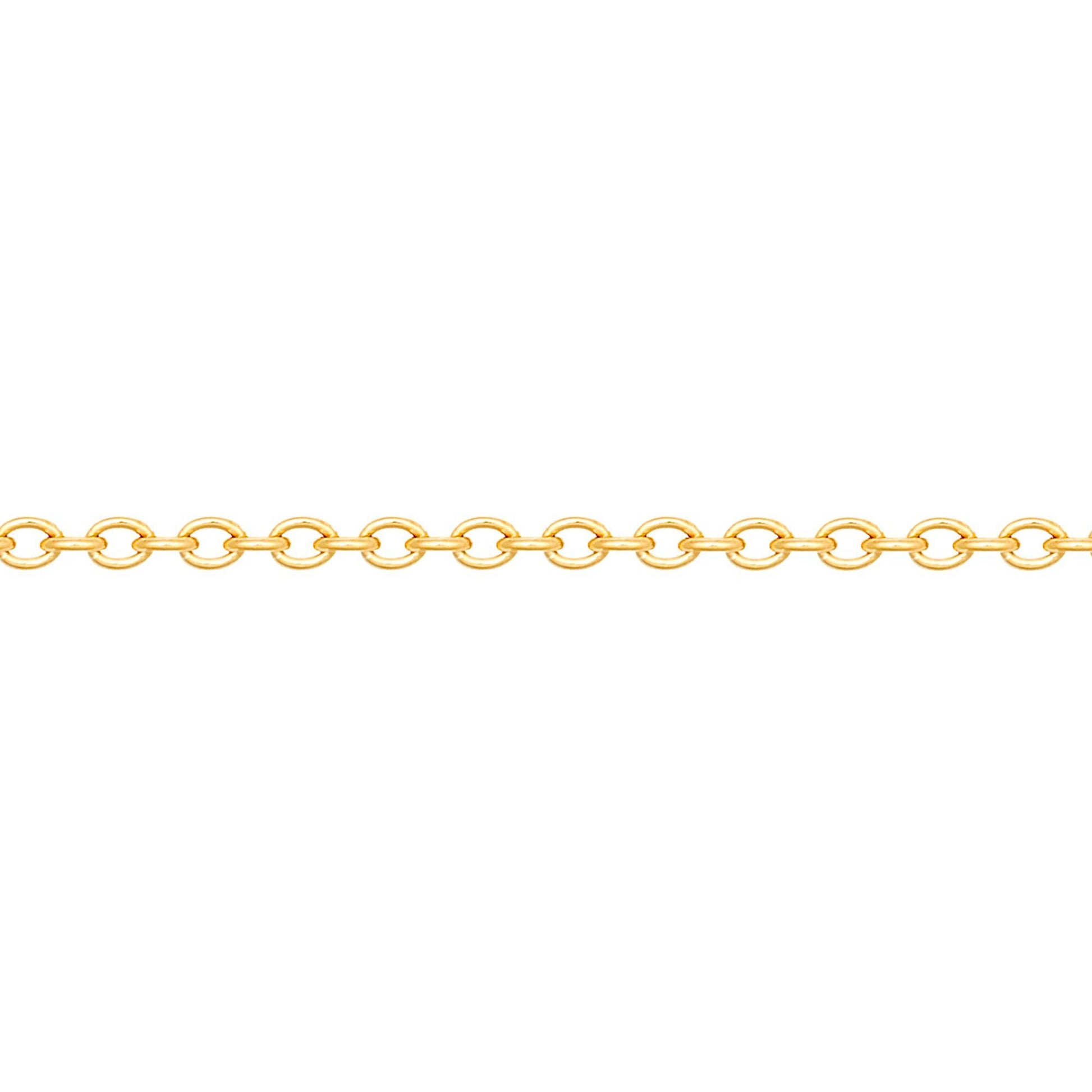 Gold-Plated Silver  Oval Rolo 2mm Pendant Chain Necklace 20-24" - ACN044E