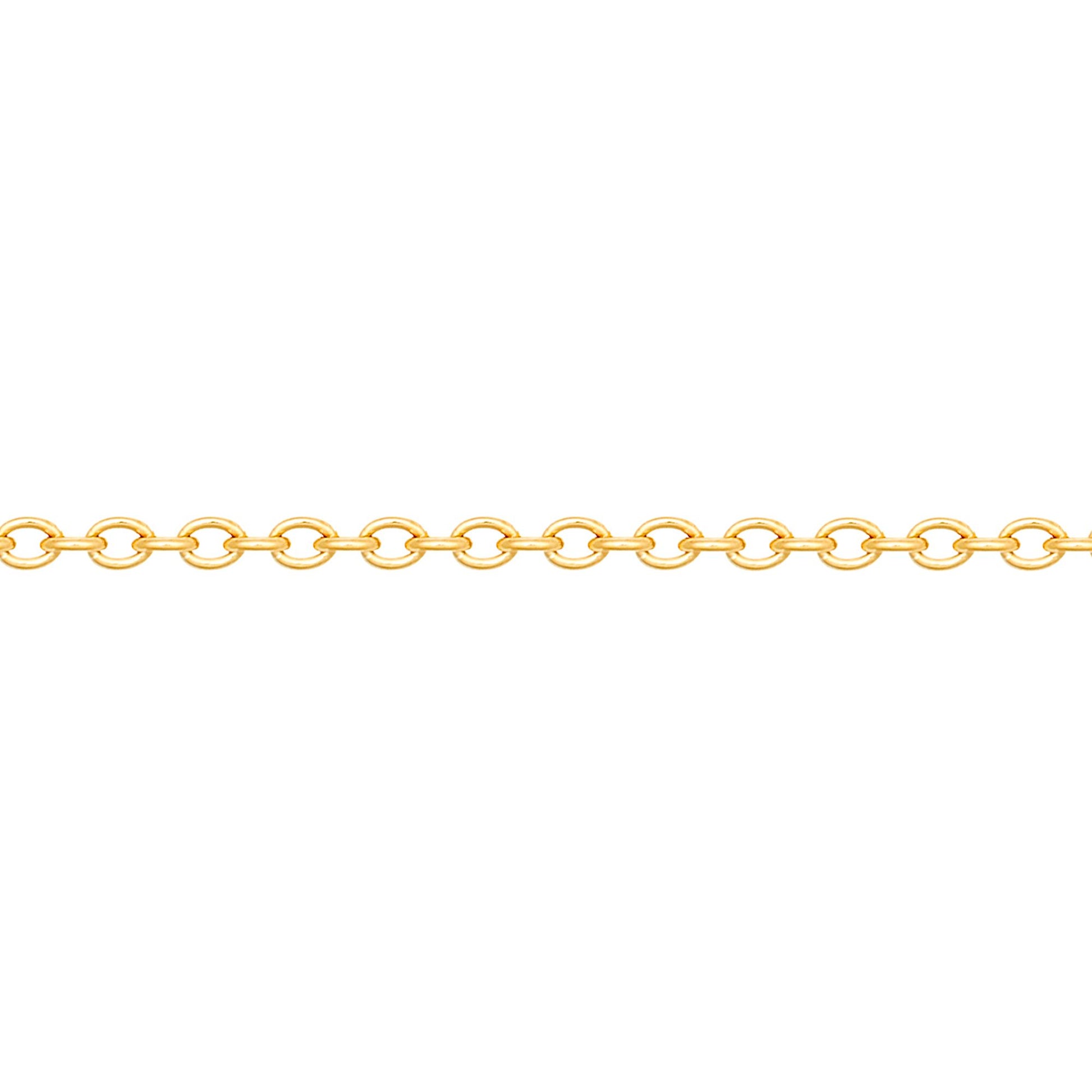 Gold-Plated Silver  Oval Rolo 2mm Pendant Chain Necklace 20-24" - ACN044E
