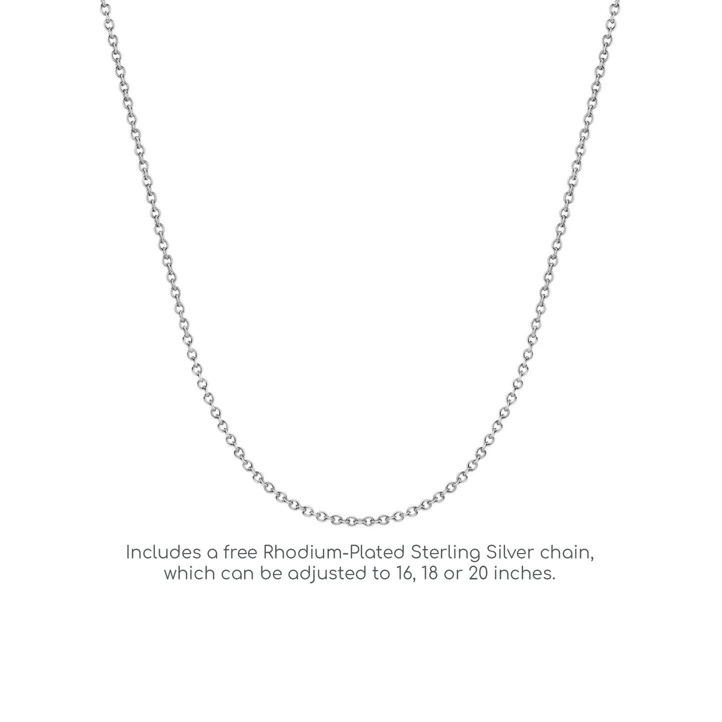 Silver  CZ Duet Drop Pendant Necklace 18 inch - GVP272