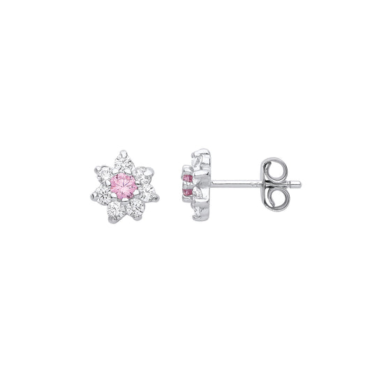 Silver  8 Stone Snowflake Cluster Stud Earrings - EAG1058