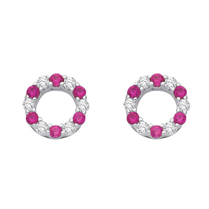 Silver  Red CZ Alternating Eternity Circle of Life Stud Earrings - EAG1176RU
