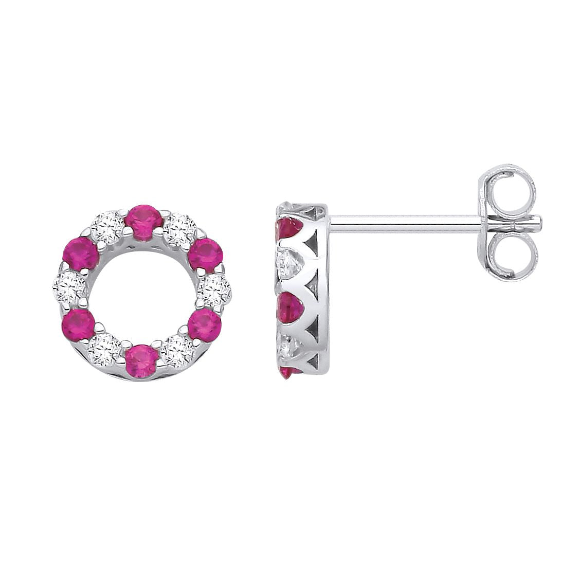 Silver  Red CZ Alternating Eternity Circle of Life Stud Earrings - EAG1176RU