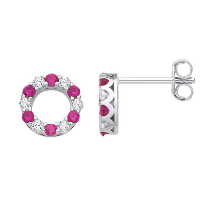 Silver  Red CZ Alternating Eternity Circle of Life Stud Earrings - EAG1176RU