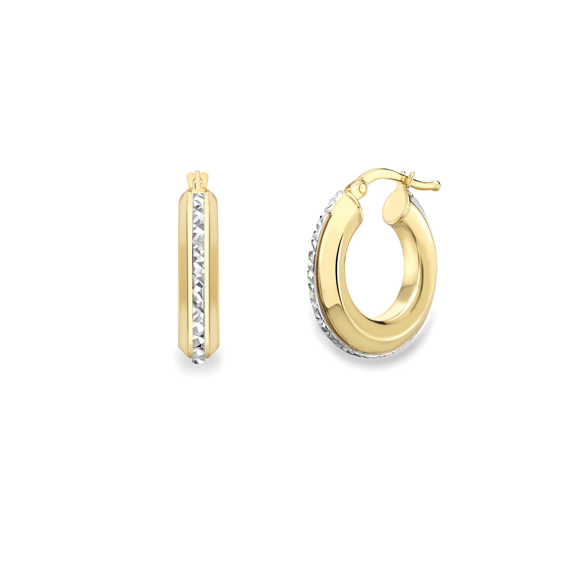 9ct Gold  Two-Tone Earrings - EANR02172
