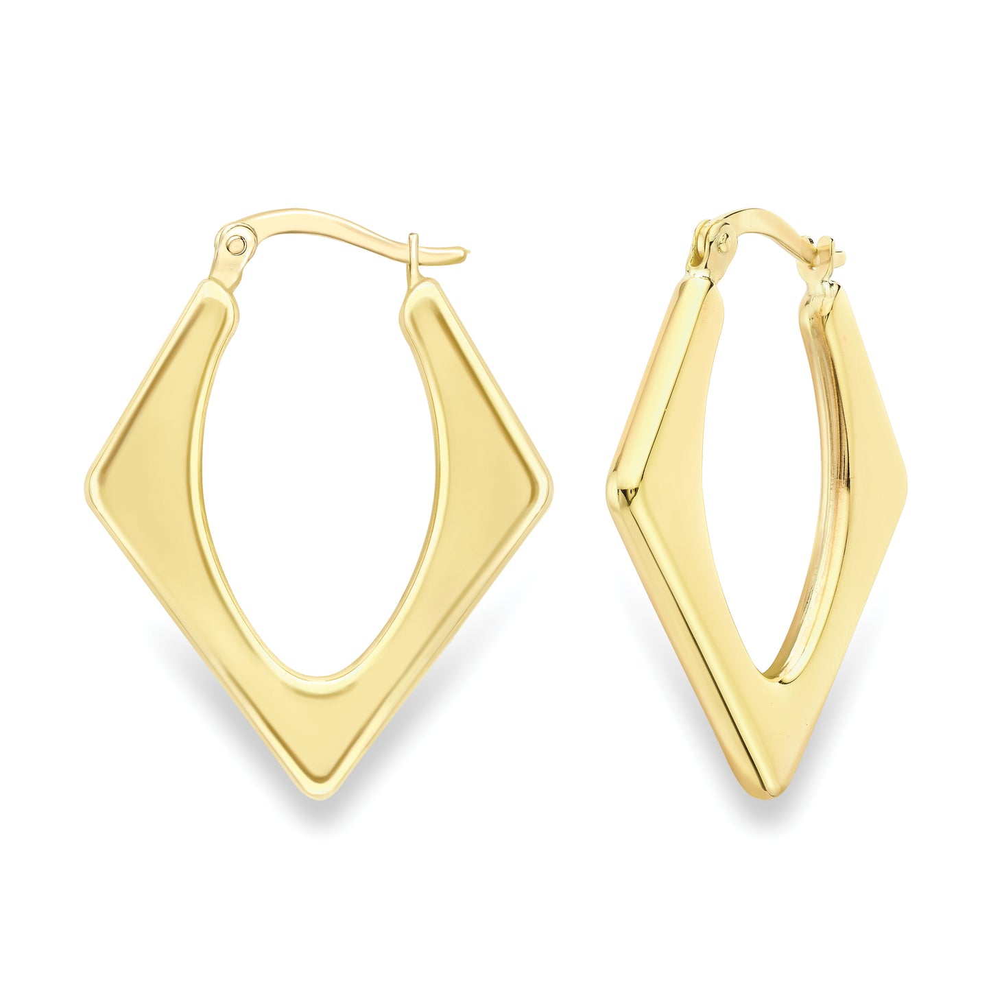 9ct Gold  Polished Earrings - EANR02191