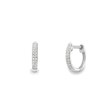 9ct Gold  Huggie Diamond Earrings - EANR02220