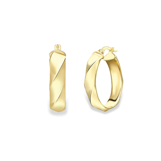 9ct Gold  Polished Oval Hoop Earrings - EANR02233