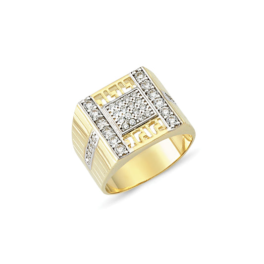 Mens 9ct Gold Ring - G9R8811