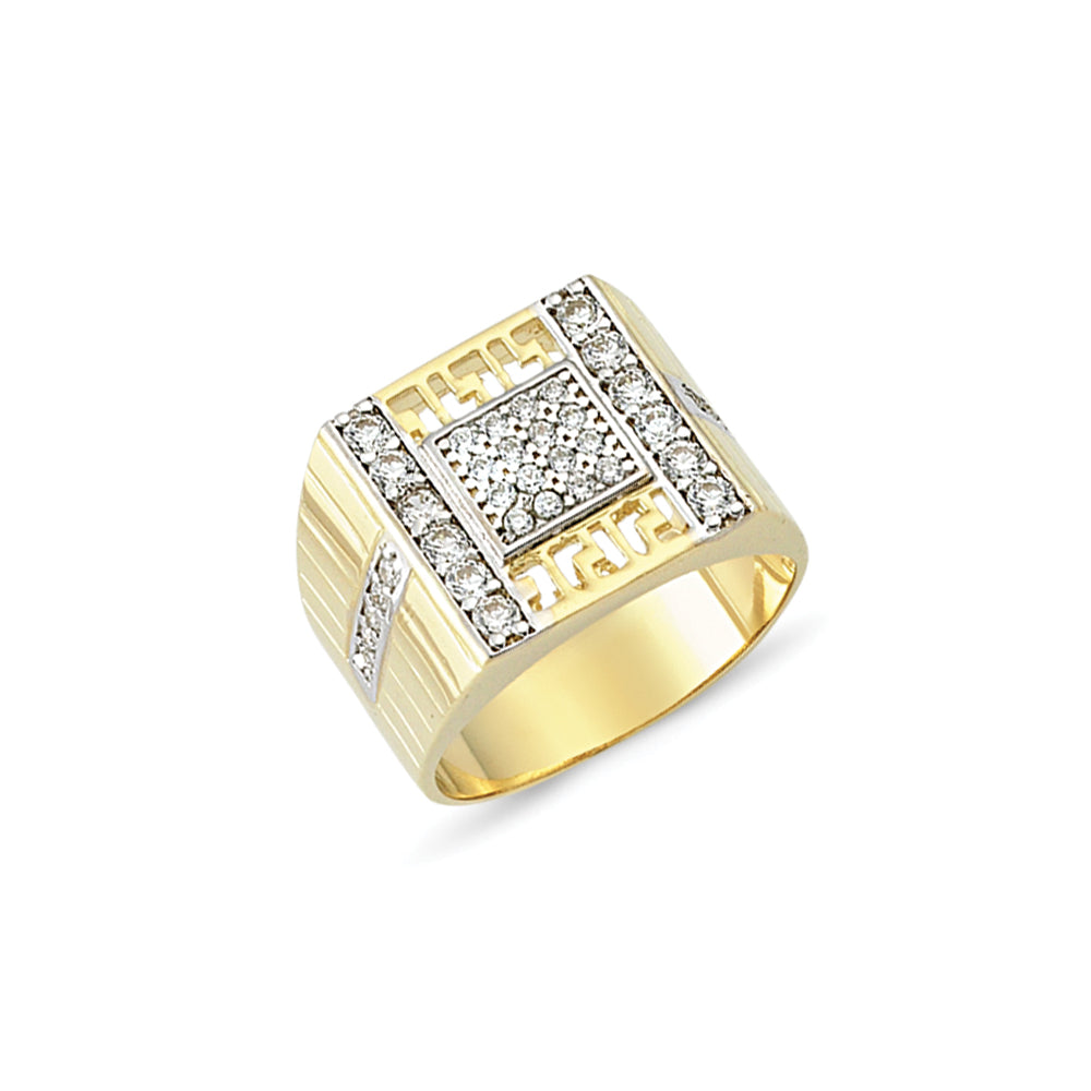 Mens 9ct Gold  Ring - G9R8811