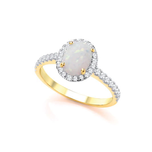 2-Colour 9ct Gold  Rainbow Oval Opal CZ Halo Engagement Ring - G9R9032OP