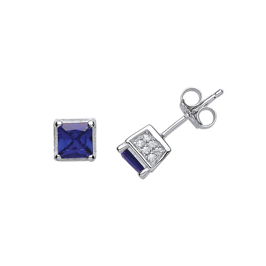 Silver  Blue and White Princess Cut and CZ Cube Stud Earrings - GVE440