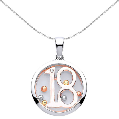 Rose Silver  CZ Floating Bead 18 Birthday Necklace - GVP433
