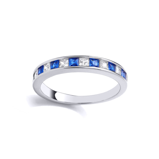 Silver  Blue Princess CZ 13 Stone Channel Set Half Eternity Ring - GVR961SAP