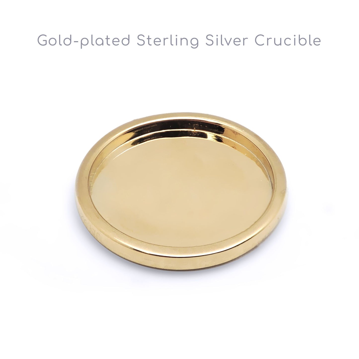 Silver  Barked Quarter Sovereign Coin Mount Ring - 9ct Gold Bezel - XRN115-Q