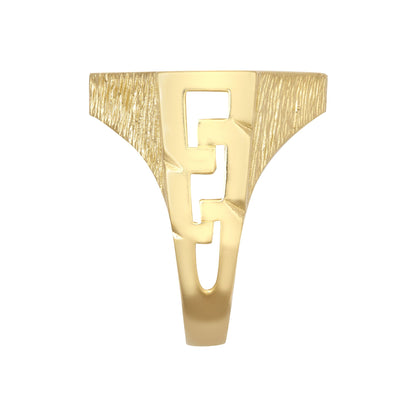 9ct Gold  Curb Links Octagon Full Sovereign Mount Ring - JRN181-F