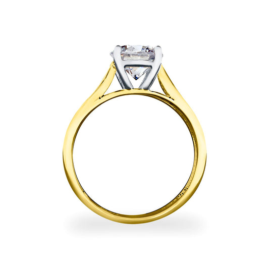 9ct 2-Colour Gold  CZ Solitaire Shoulder Set Engagement Ring - JRN554