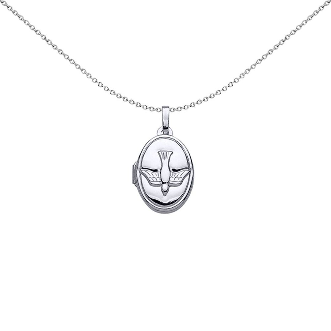 Silver  Diving Falcon Arrow Oval Locket Necklace - LK33