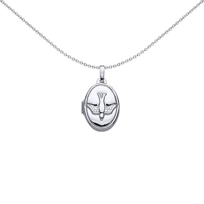 Silver  Diving Falcon Arrow Oval Locket Necklace - LK33