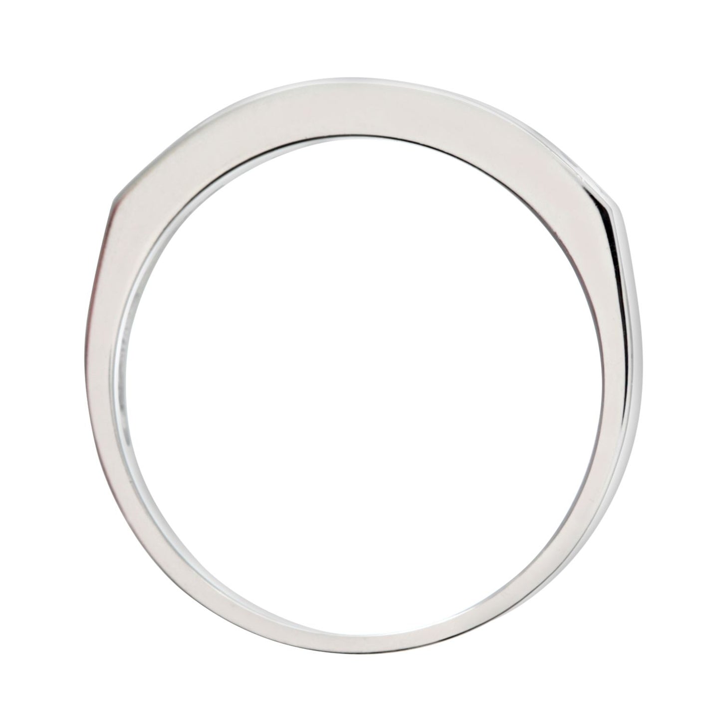 9ct White Gold  1/3ct Diamond 9 Stone Channel Eternity Ring 2.5mm - PR0AXL3700W