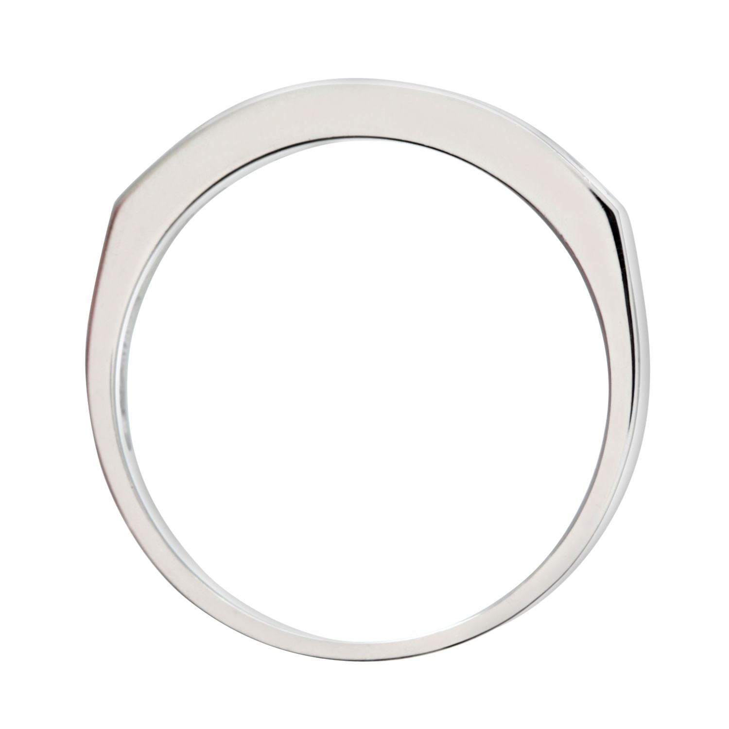 9ct White Gold  1/3ct Diamond 9 Stone Channel Eternity Ring 2.5mm - PR0AXL3700W
