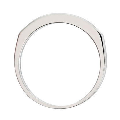 9ct White Gold  1/3ct Diamond 9 Stone Channel Eternity Ring 2.5mm - PR0AXL3700W