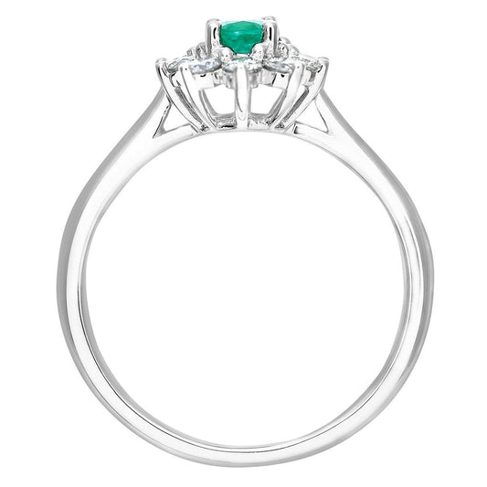 18ct White Gold  1/3ct Diamond Royal Oval Cluster Ring 11mm - PR0AXL8605W18EM