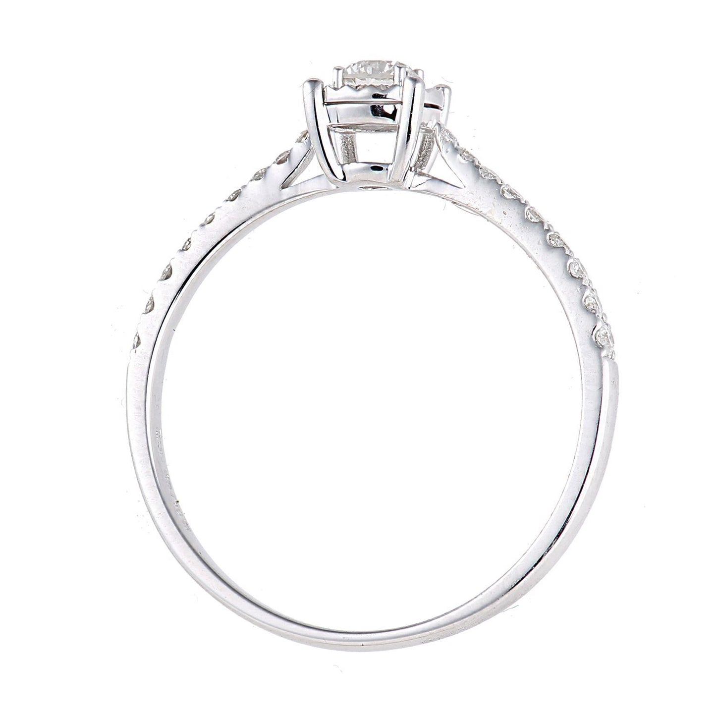 18ct White Gold  14pts Diamond 13pts Pave Illusion Solitaire Ring - PR1AXL2735W18