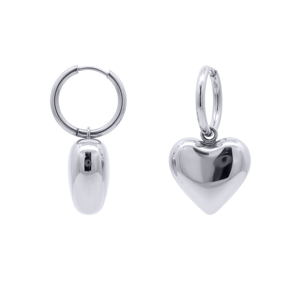 Stainless Steel  Drop Earrings - STE0015