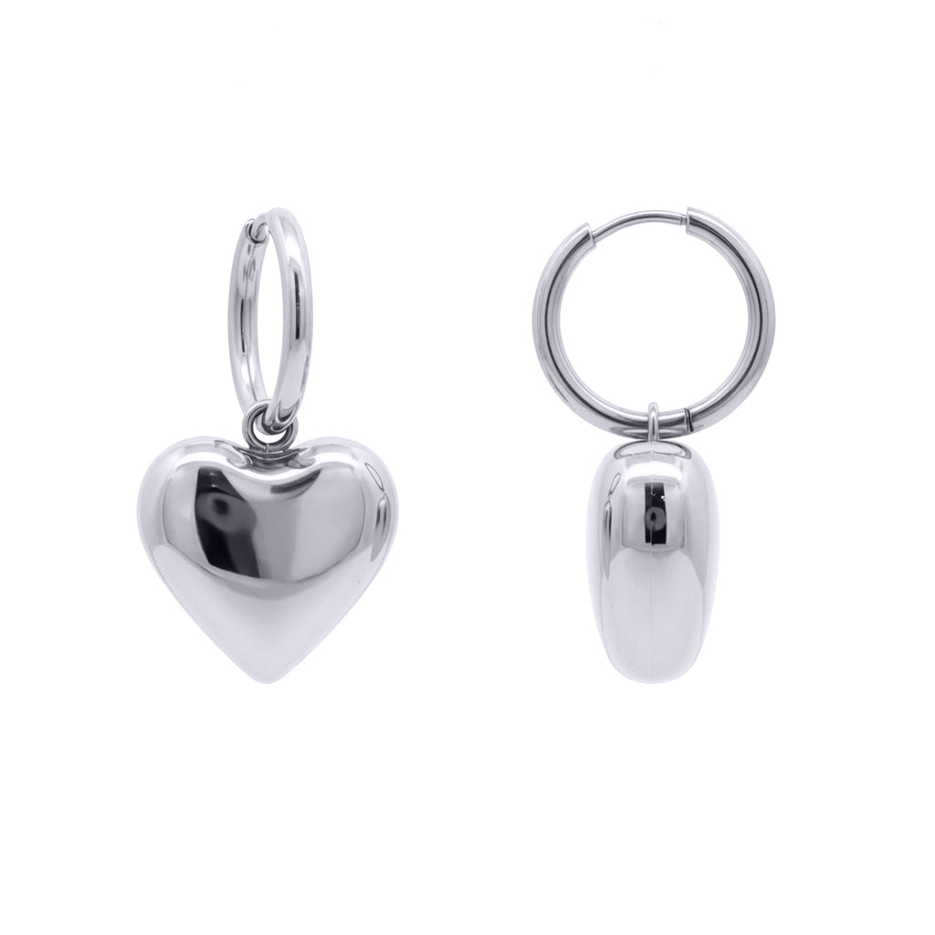 Stainless Steel  Drop Earrings - STE0015
