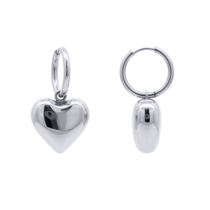 Stainless Steel  Drop Earrings - STE0015